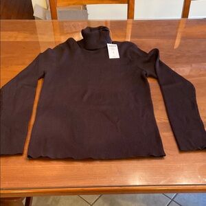 Chico's Dark Brown Turtleneck Sweater
